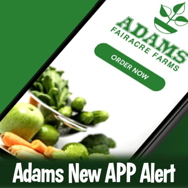 Adams_Signup Adams_Signup